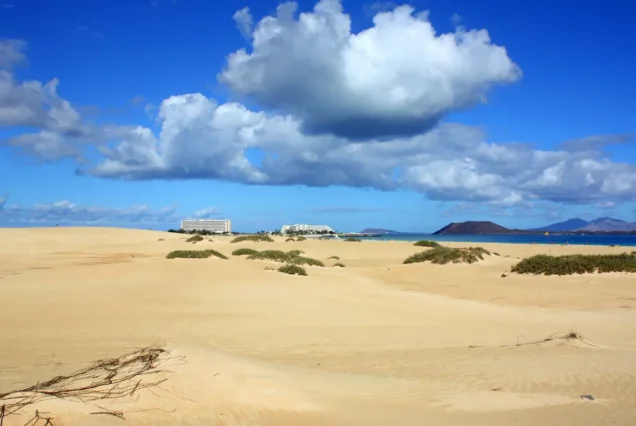 Corralejo surf fuerteventura